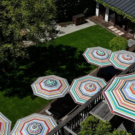 코르티센 암 제 - 성인 전용