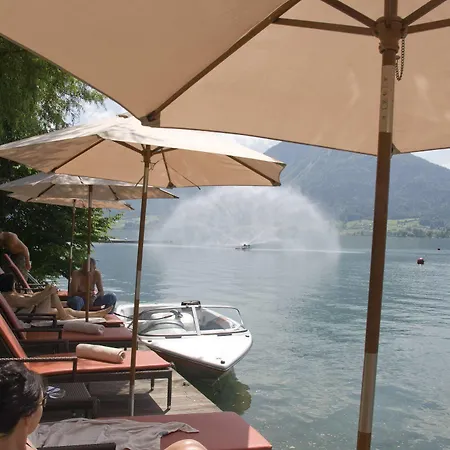 코르티센 암 제 - 성인 전용