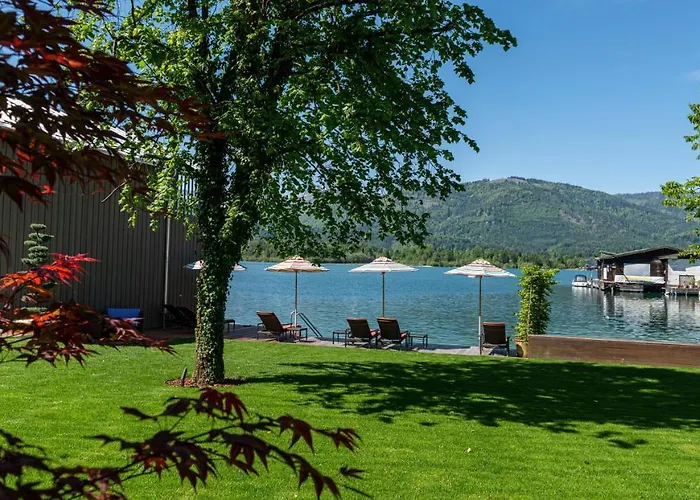 Cortisen Am - Adults Only 4*